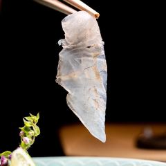 Da Ji Kaiseki (Jinxian Road Branch) User Photo