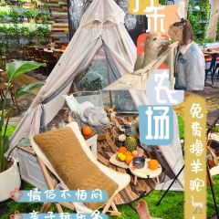 万禾都市农场 Brunch·Bistro(长宁来福士店) User Photo