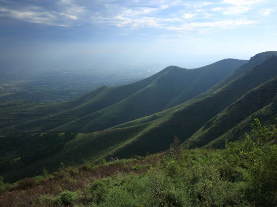 嵯峨山