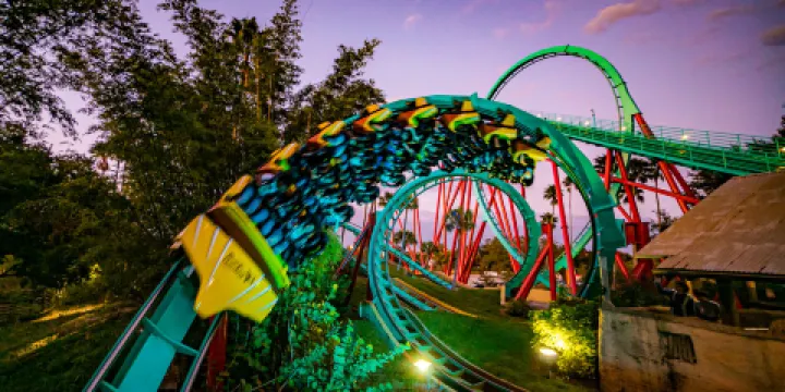 坦帕灣布希花園