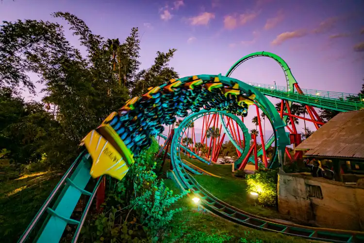 Hotels in der Nähe von Busch Gardens Tampa Bay