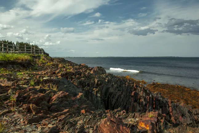 Разрешено размещения с домашними животными Отели в г. Дартмут