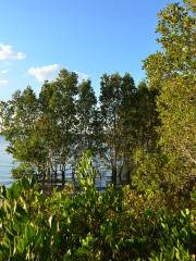 University QLD Lakes Station