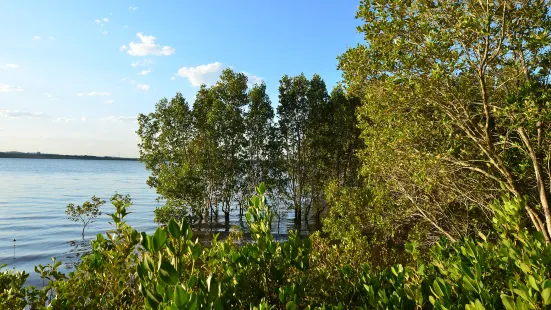 University QLD Lakes Station