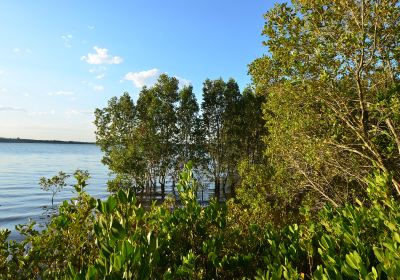 University QLD Lakes Station