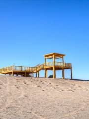 Desert Observation Deck