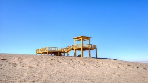 Desert Viewing Platform