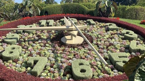 The Flower Clock