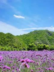 人間花海景區