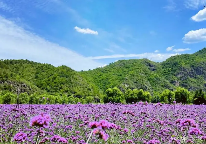 Renjianhuahai Sceneic Area