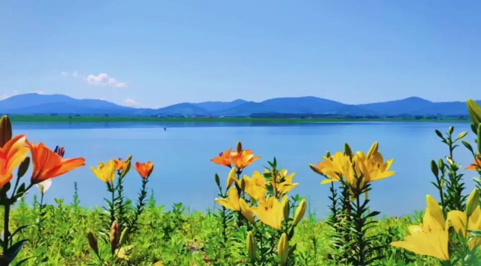 Hotel in zona Fujiang Sea of Flowers