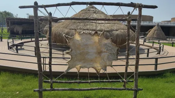 賈湖遺址