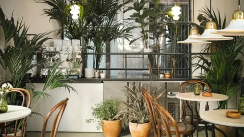 Bistrot Levante in Barcelona