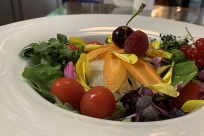 Rovente Osteria con Brace