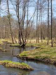 Parco paesaggistico di Kozienice