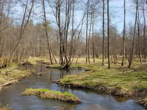 Parco paesaggistico di Kozienice