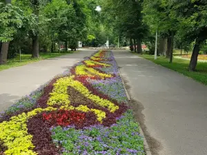 The Public Garden