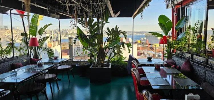 Roof Mezze 360