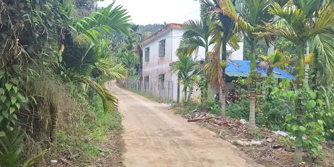 五指山毛岸苗村