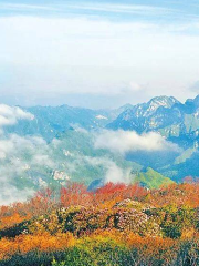 Xiaoqinling Mountain