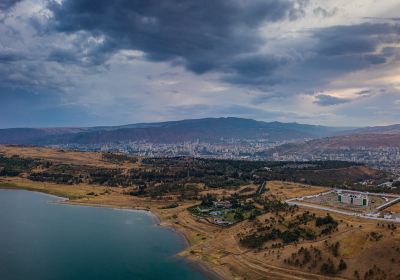 Tbilisi sea