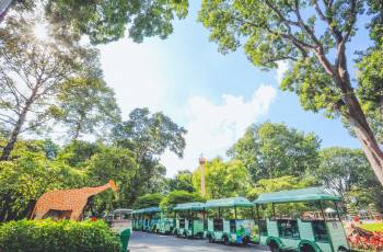 胡志明市的熱門家庭友善景點