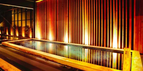 湯之森日式溫泉館(Sukhumvit 26)單日門票大小同價