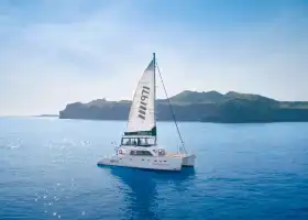 M1971 Yacht Club