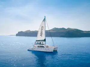 M1971 Yacht Club