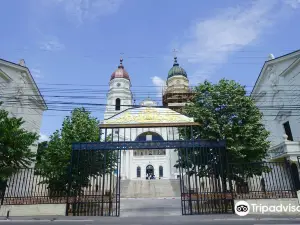 Metropoliten-Kathedrale