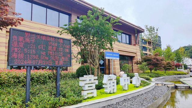 Yesanguan Forest Town