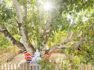 Jaya Sri Maha Bodhi