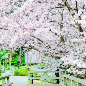Nishi Park