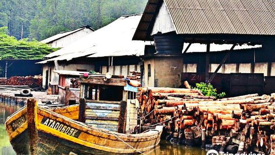 My Charcoal Factory @ Kuala Sepetang