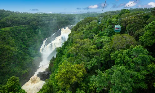 Skyrail Rainforest Cableway