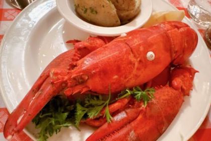 Grand Central Oyster Bar & Restaurant New York