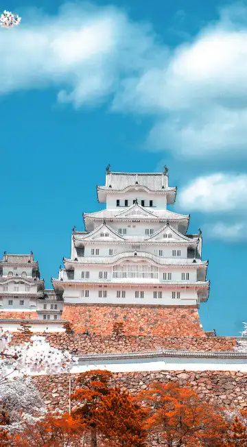 姬路市蒙特利住宿