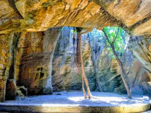 Naida Caves