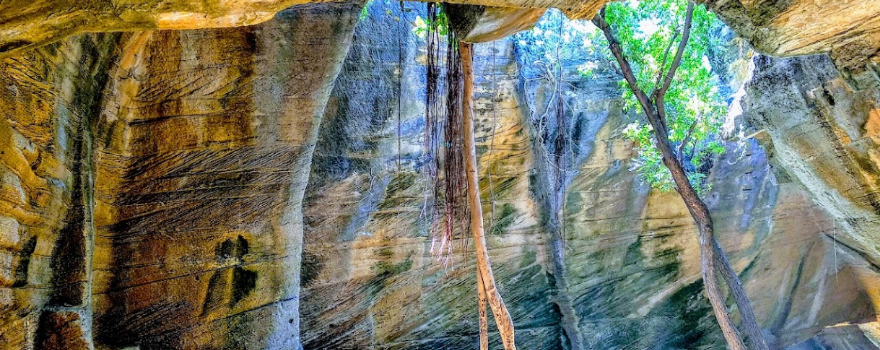 Naida Caves
