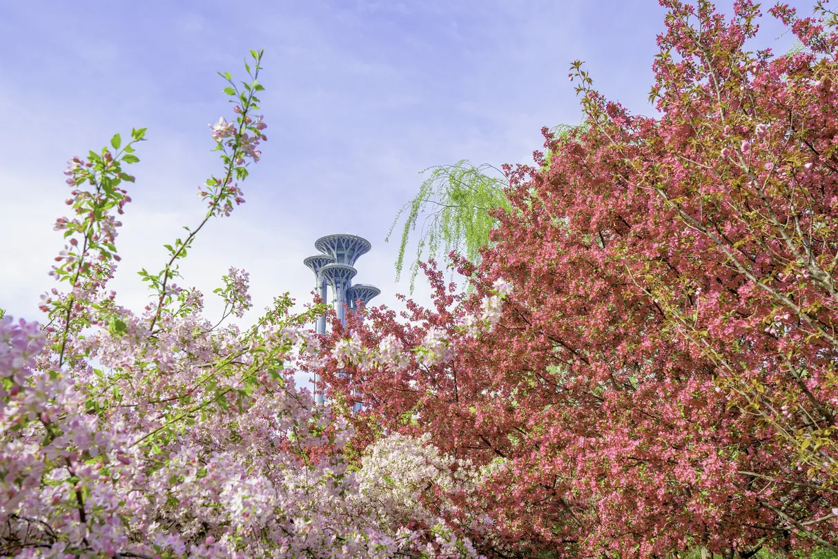 4_奧林匹克森林公園