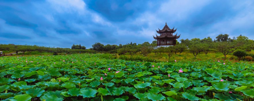 上海海灣國家森林公園