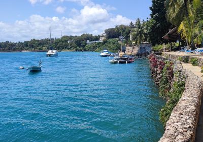 Mombasa Marine National Park
