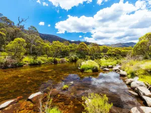 Thredbo