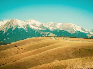 Nanshan Ranch