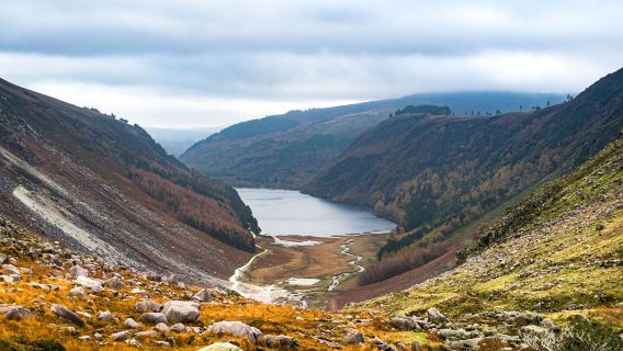 Wicklow Mountains National Park