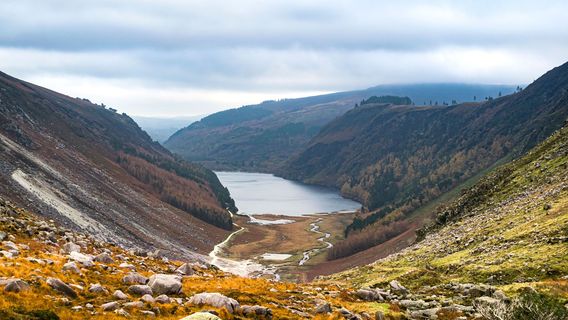 Wicklow Mountains National Park