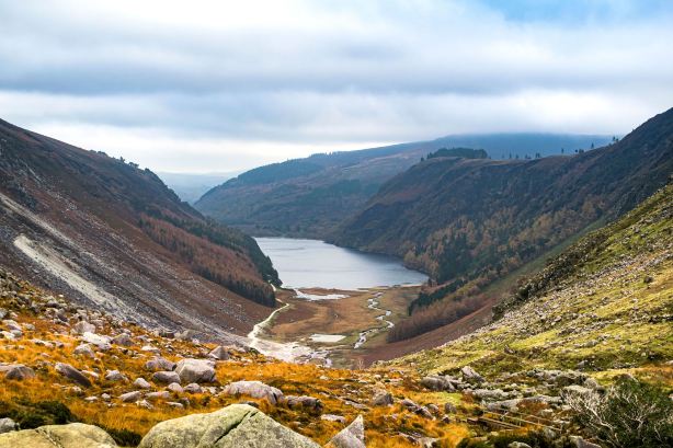 Wicklow Mountains National Park