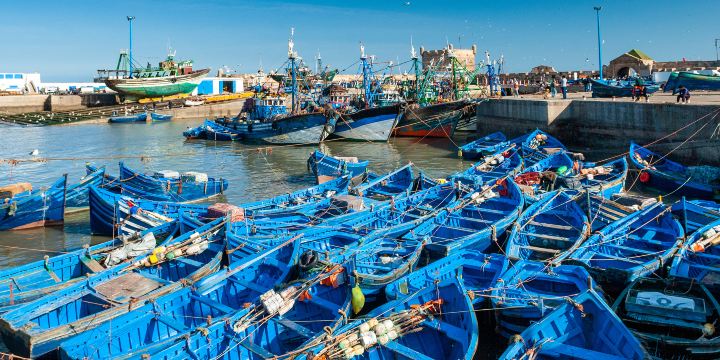 Essaouira Fishing Port