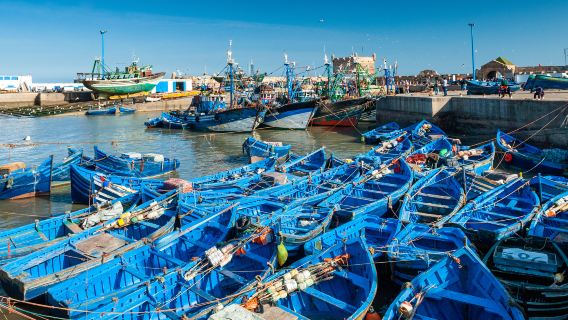 Essaouira Fishing Port