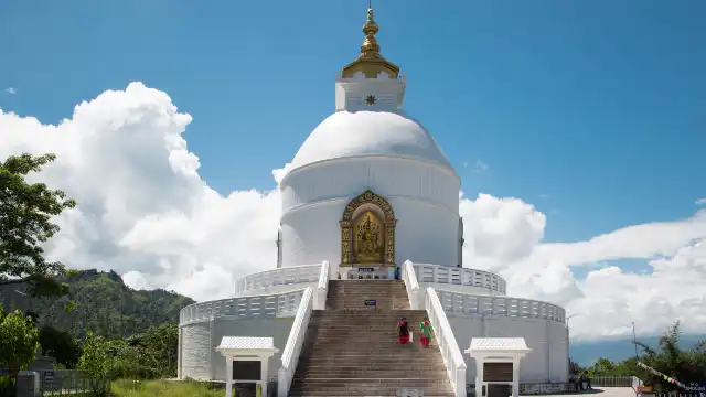 Hotels near Peace Pagoda ( Japanese Gumba)